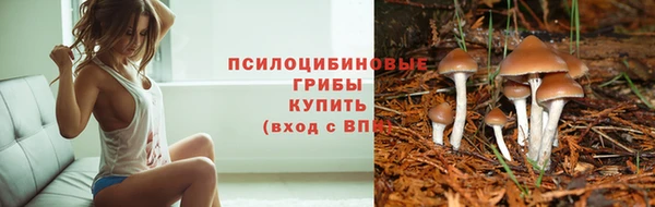 mdpv Белокуриха