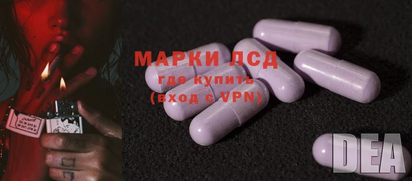 PSILOCYBIN Тында