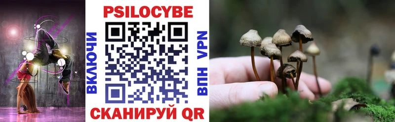 Галлюциногенные грибы Psilocybine cubensis  Котельники 